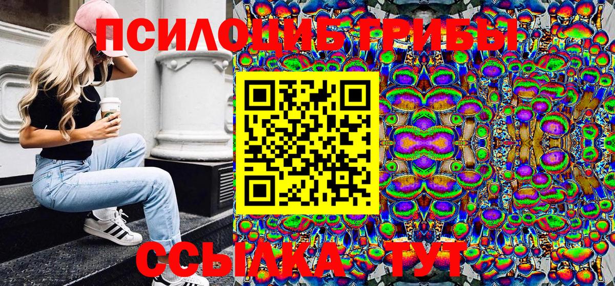 Псилоцибиновые грибы мицелий Нягань